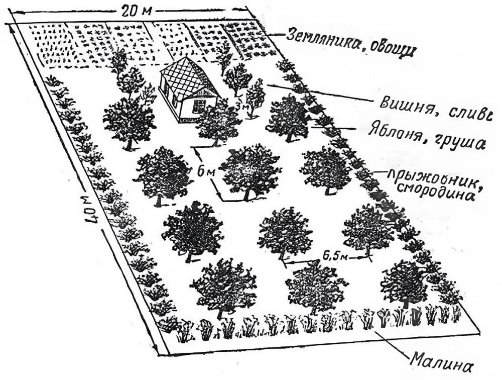 a drawing of a typical 2 acre russian food plot