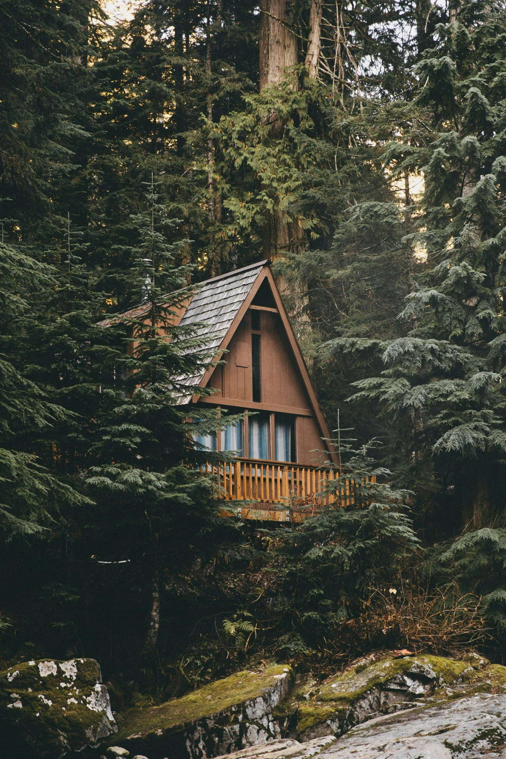 An A-frame cabin peeking out of a remote homestead in the forest.