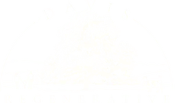 Davis Regenerative Logo